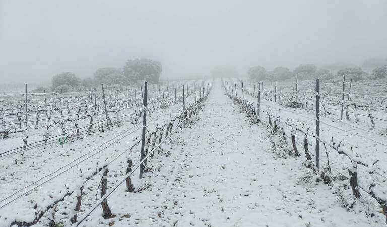 Bodega Inurrieta