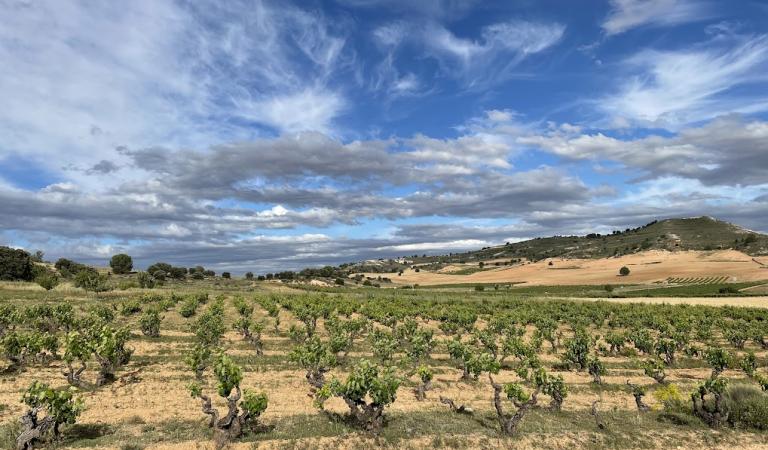 Bodega Tres Piedras